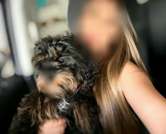 Leila, 33